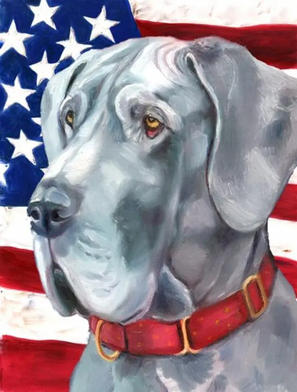212 MAIN Great Dane American Flag - Double-Sided, Weatherproof Outdoor Decor, Boating Accessory, Patriotic, Garden Accessories, Decorative Garden, Polyester, Fade-Resistant