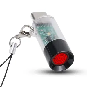 Portable and Lightweight USB Type-C Electric Lighter, which has no Flame, no Gas, no Battery and is Windproof, can be Used by Connecting The Charging Port of The Mobile Phone.(Transparent Color  2pcs)