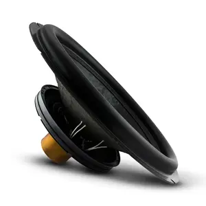 DS18 Recone Kit for EXL-X15.4D