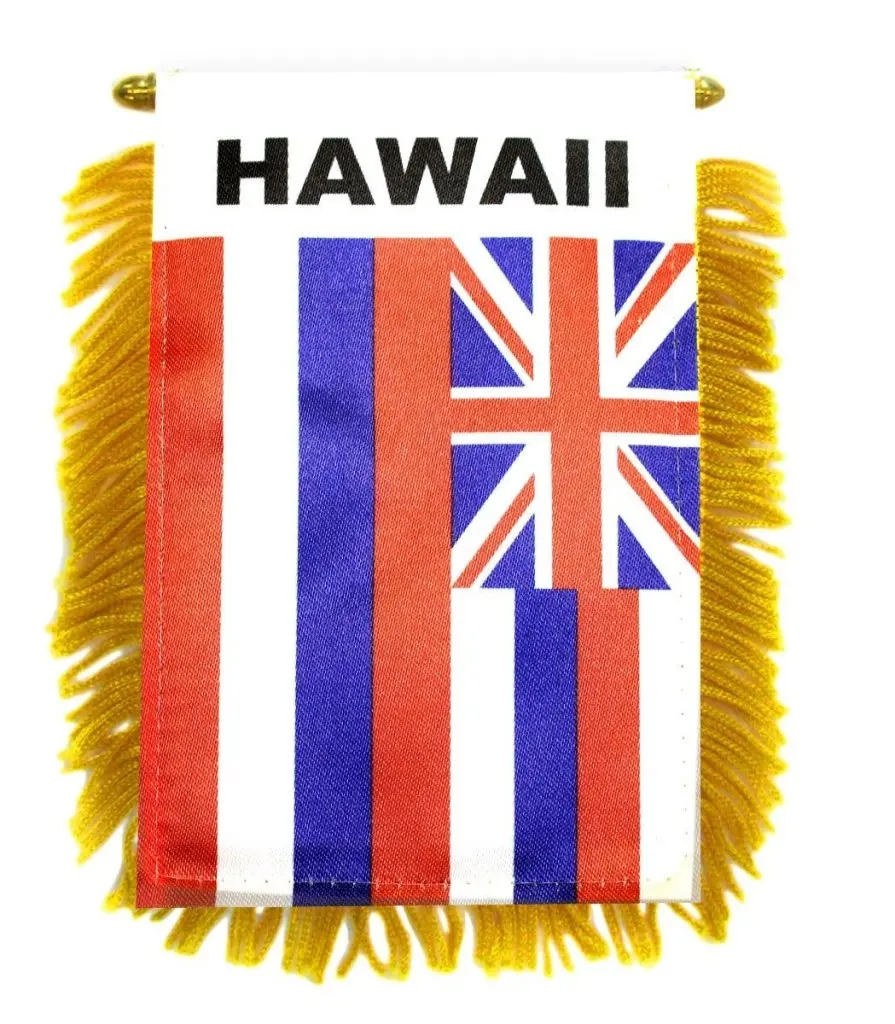 Plastic Hanger Hawaii Mini Banners - Festive & Party Supplies, Home Decoration Backdrops, Glass Surface Window Flags