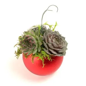 Red Matte Ball - Succulent Ornament