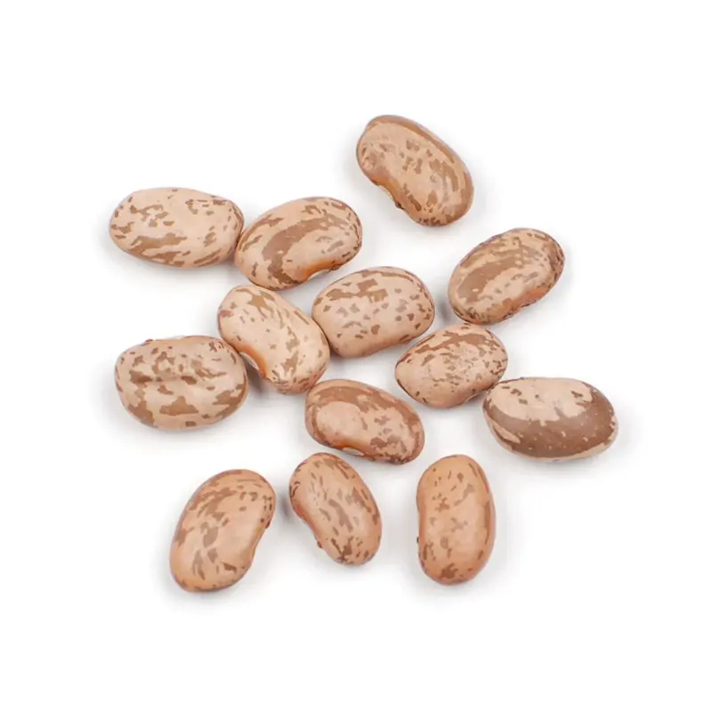 212 MAIN Pinto Beans - 25.3 lb Box, Low Fat, High Protein, Fiber-Rich, Vitamin-Packed, Iron-Containing Kitchen Pantry Staple, Affordable Nutrition Option for Beans Peas & Nuts Category