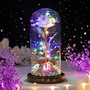 Valentines Day Gifts for Her, Artificial Preserved Flowers, Colorful Rainbow Light Up Rose in A Glass Dome