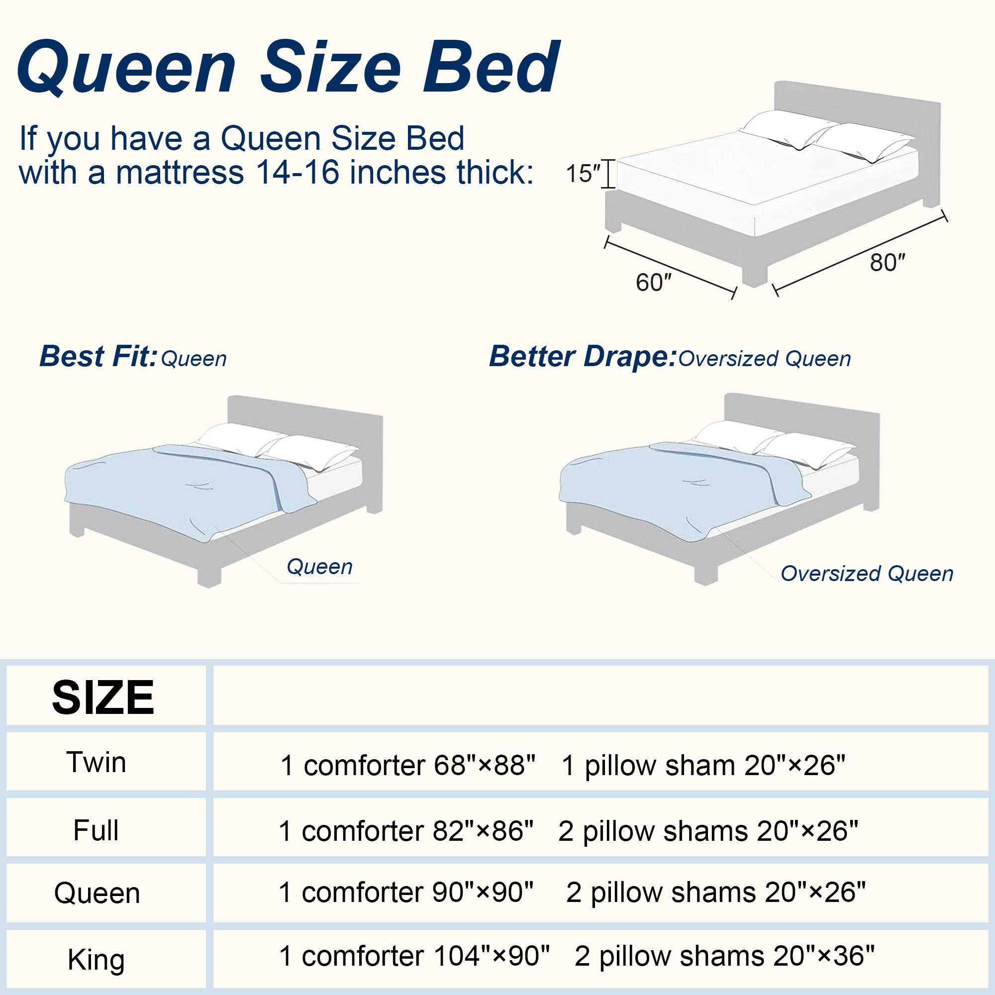 Raybee  MarshMellow  Soft Comforter Set Queen Size-3-PCS ,Bedding Set for All Seasons ,Soft Luxury Cationic Dyeing Comforter for All Season,Including 1 Comforter Set & 1 Or2 Pillows Shams