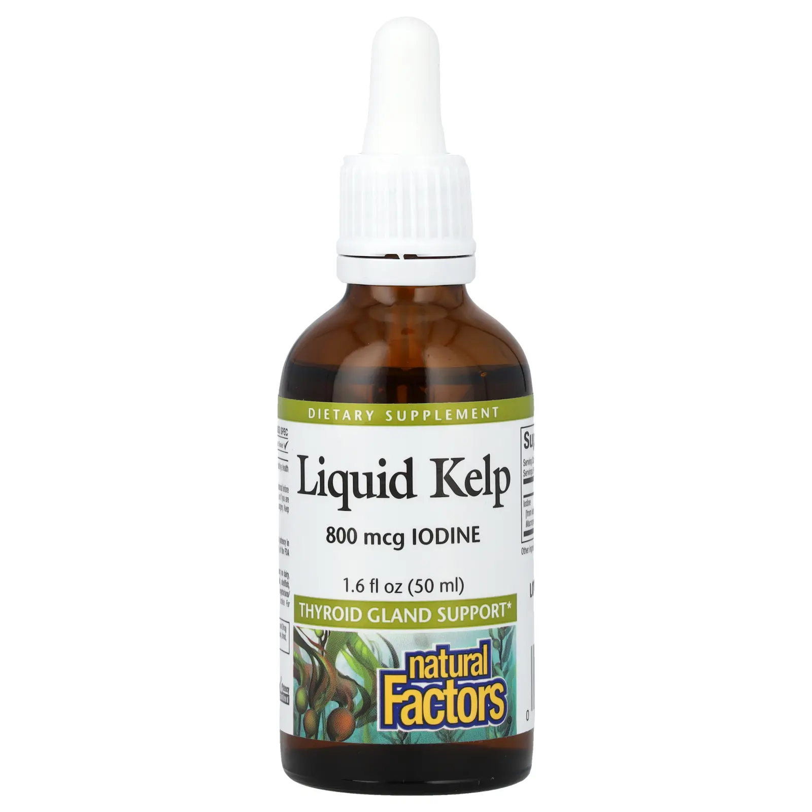 Natural Factors Liquid Kelp, 800 mcg, 1.6 fl oz (50 ml)