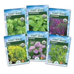 Kitchen Herb Organic Seed Variety Pack - 6 Pack