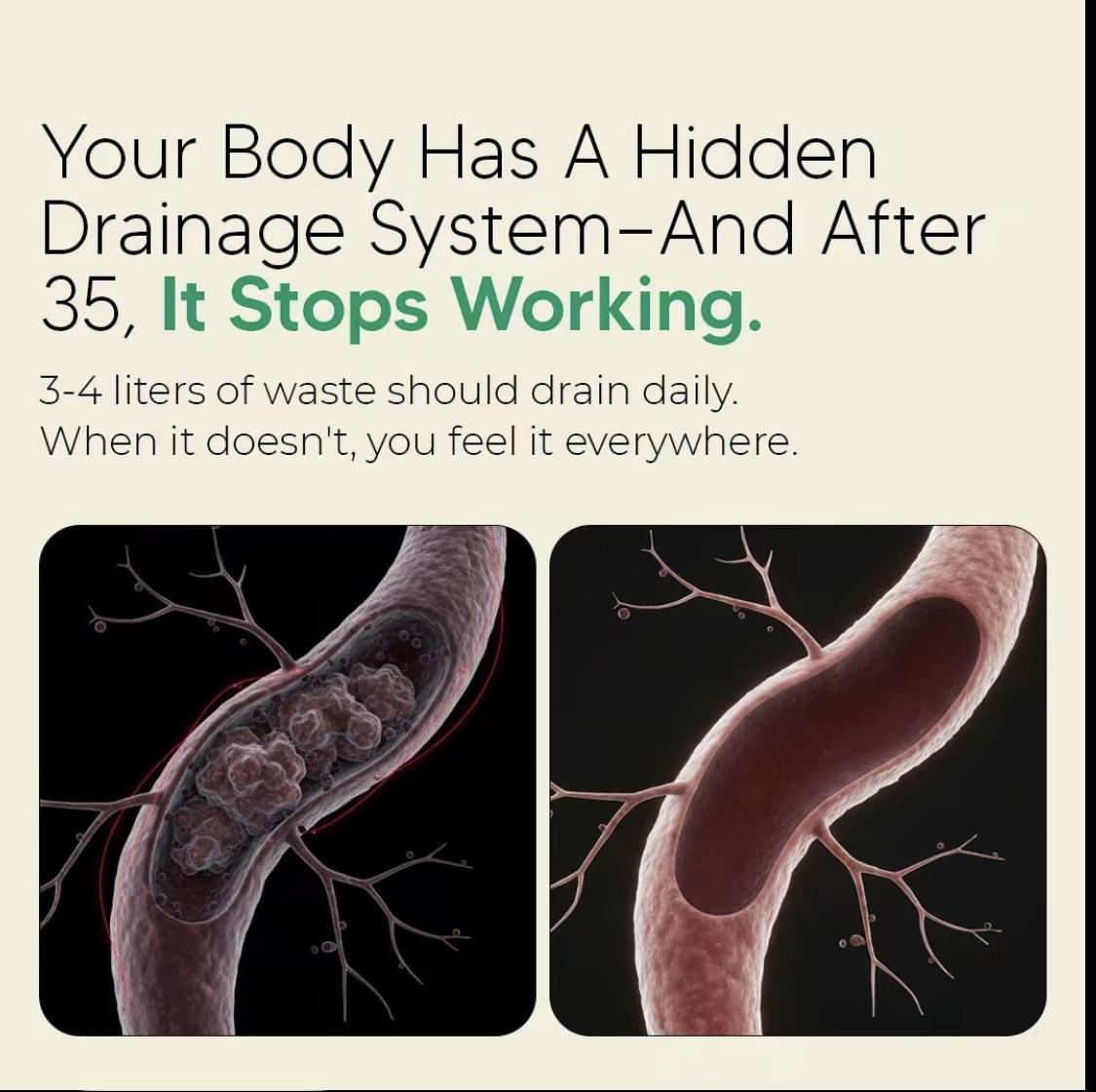 Sculptique Lymphatic Drainage Capsules - Supports Body's Natural Lymphatic Cycle Helps Remove Excess Fluids and Toxins, Supports Natural Lymphatic Cycle - Antioxidant & Detox Binder Supplement