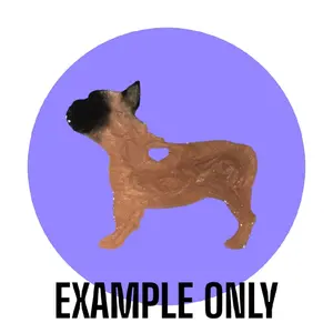 Customizable Resin Frenchie keychain/3D Magnet - All Proceeds donated to surgery !