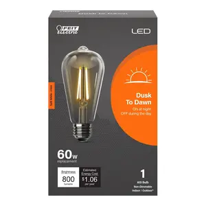 Feit Electric 60 Watt Replacement Soft White 2700 E26 Base ST19 Dusk to Dawn LED Light Bulb