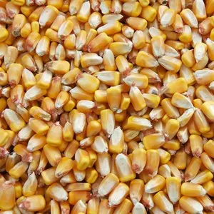 Recleaned Whole Corn - 50lb