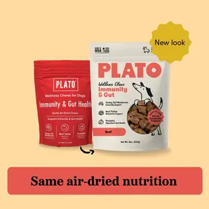 Plato Air-Dried Wellness Chews for Dogs | Immunity & Gut Health Support | Turkey Tail Mushroom, Pumpkin & Beef Tallow