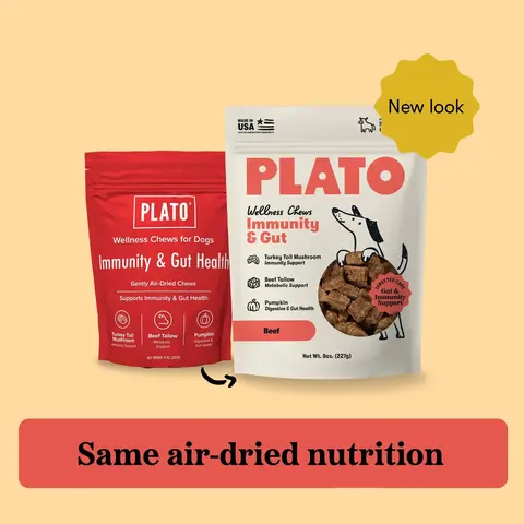 Plato Dried Wellness Chew Treats for Dogs - Immunity Support, Gut Health Support, Nutrition, Made with Turkey Tail Mushroom, Pumpkin, Beef Tallow Pet Supplies