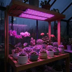 Grow Lights for Indoor Plants, Grow Lights, Plant Growing Lamps, Full Spectrum LED Panel with 10 Dimmable Levels & 3/9/12H Timer, 3 Lighting Modes for Plant Shelves, Under Cabinet, Easy Use in Bedroom Living Room Office, Let Plants Grow Vigorously