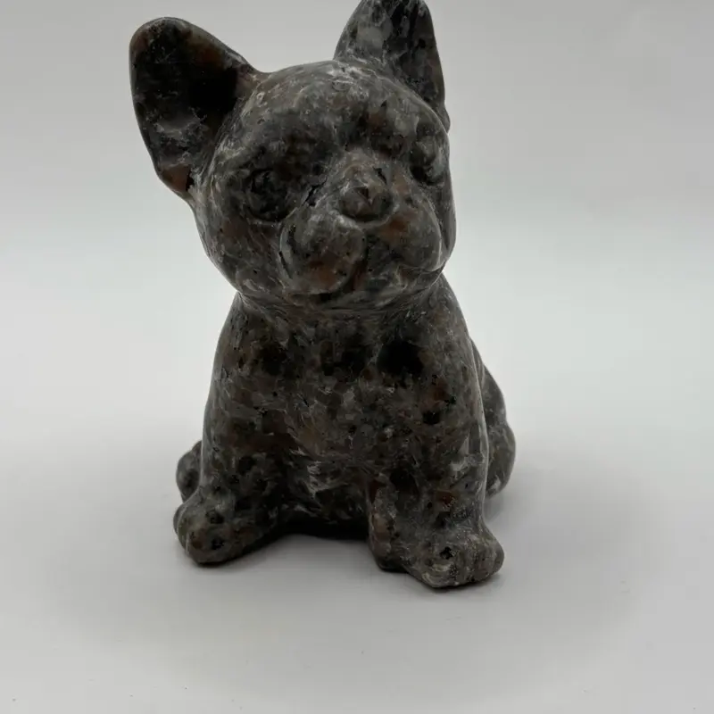 Yooperlight frenchie