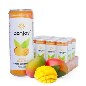 Zenjoy Stress Relief Drink, Calming Mango Black Tea, Non Alcoholic, Ashwagandha & Lemon Balm for Anxiety Relief, L - Theanine for Focus (12pk)