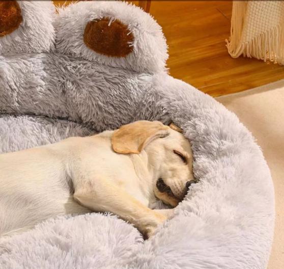 The Paw Haven Hooded Cat Bed | Calming Pet Cave | Self Warming Cat Bed | Plush Donut Dog Bed | Non Slip Bottom | For Indoor Cats & Small Dogs Winter