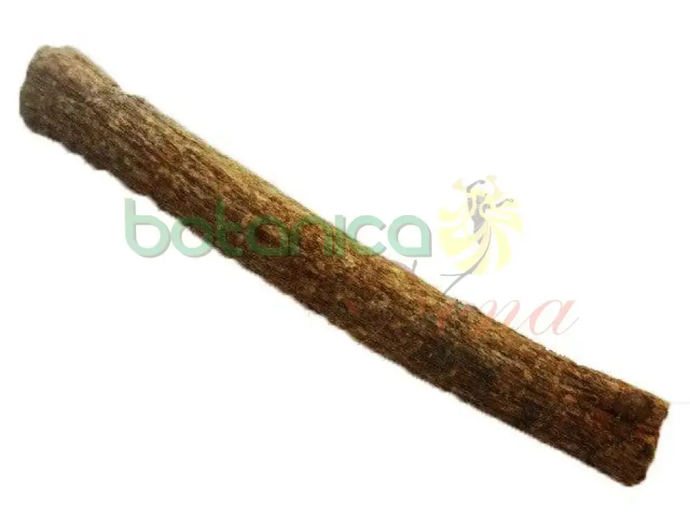 Ewé Odán Stick (Álamo)