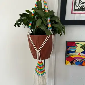 Beaded Pride Macrame Hanging Plant Basket for Small Pots 5" x 4-6" Handmade with Wooden Ring & Braided Base for Indoor Gardening