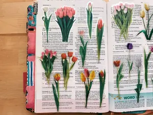 Tulip Journaling Sticker Pack (20ct)