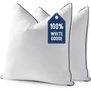 Goose  Down 20x20 Pillow Insert Set of 2 with  Down-Proof  Cover, Soft  Decorative Pillow for Sofa Bed Couch Living Room White
