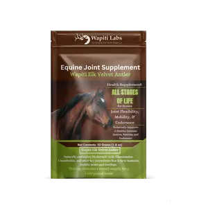 Wapiti Labs Equine Joint Supplement - 100% Elk Velvet Antler Powder for All Stages of Life - Supports Joint Flexibility Mobility & Endurance - 15 Grams