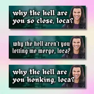 Nervous Parker Cat Car Magnet, Funny Cat Car Accessory, Anxious Driver Bumper Magnet, Cat Lover Gift, Cute Mental Health Gift, Gift for New Driver