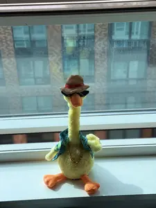 electric duck