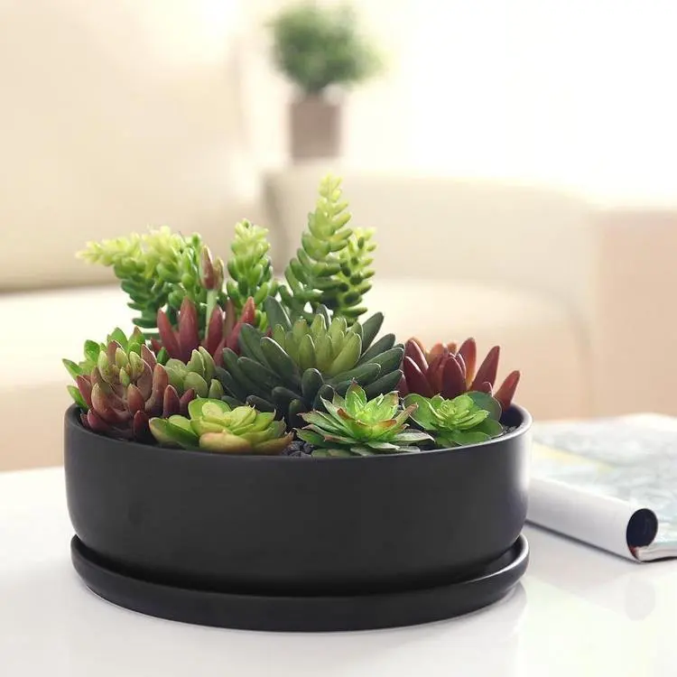 Modern Round Black Ceramic Succulent Planter with Saucer