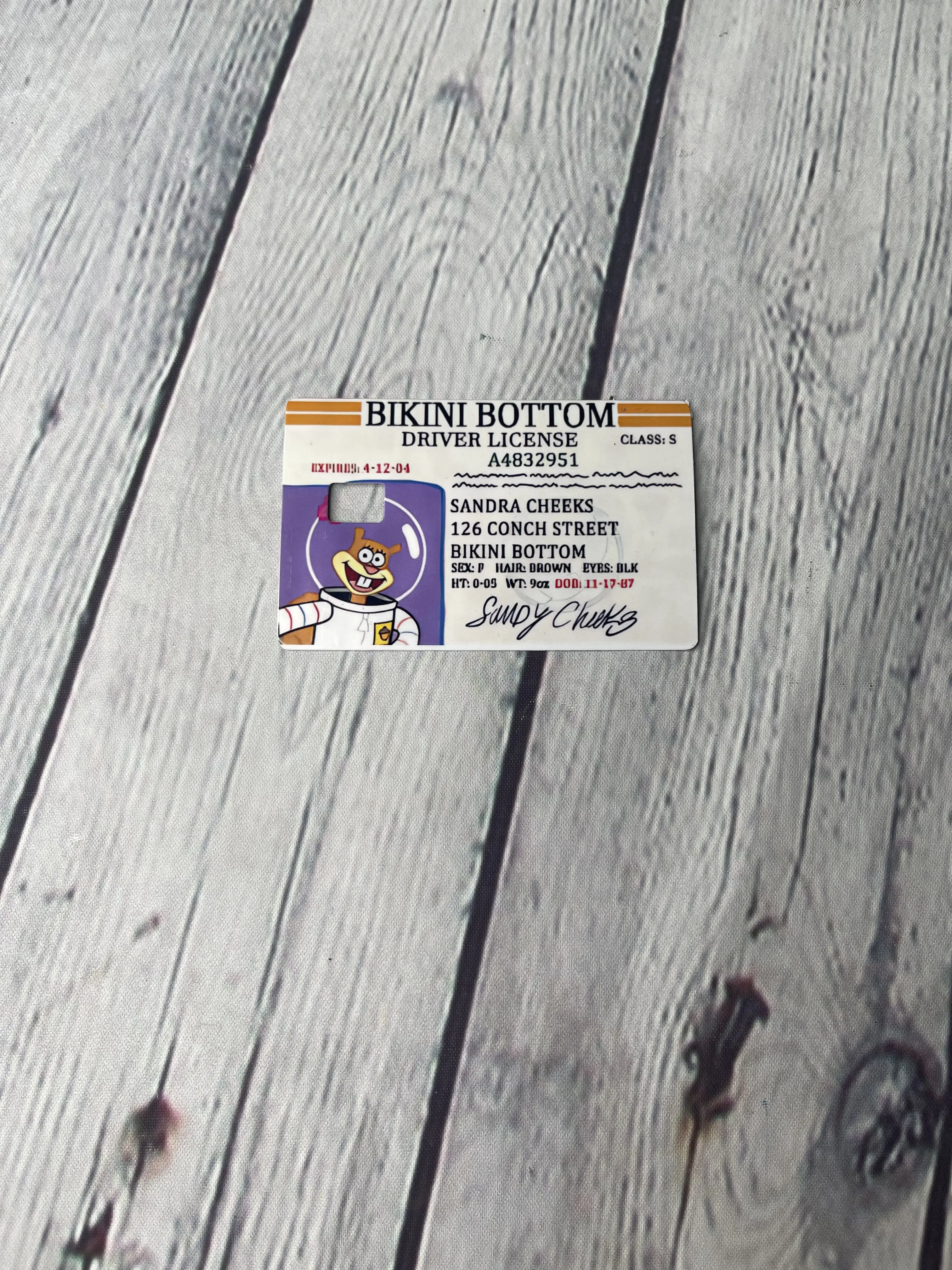 Sandy Cheeks credit card skin cover sticker decal