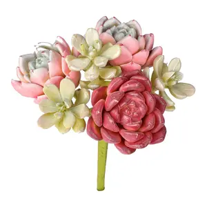 Summer Succulents Mixed Pick 8" by Valerie