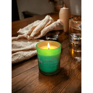Breathing Forest Holiday Candle