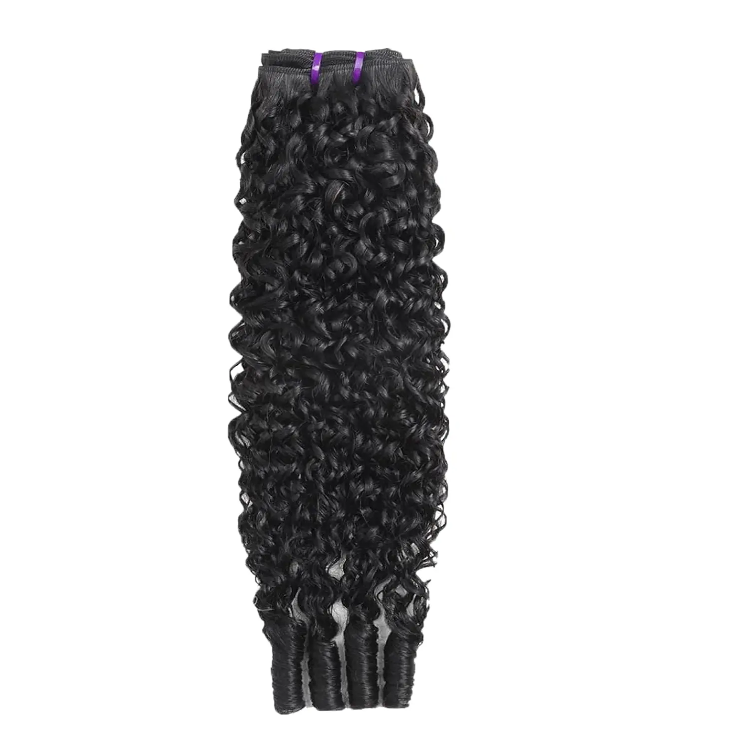 Burmese Curly