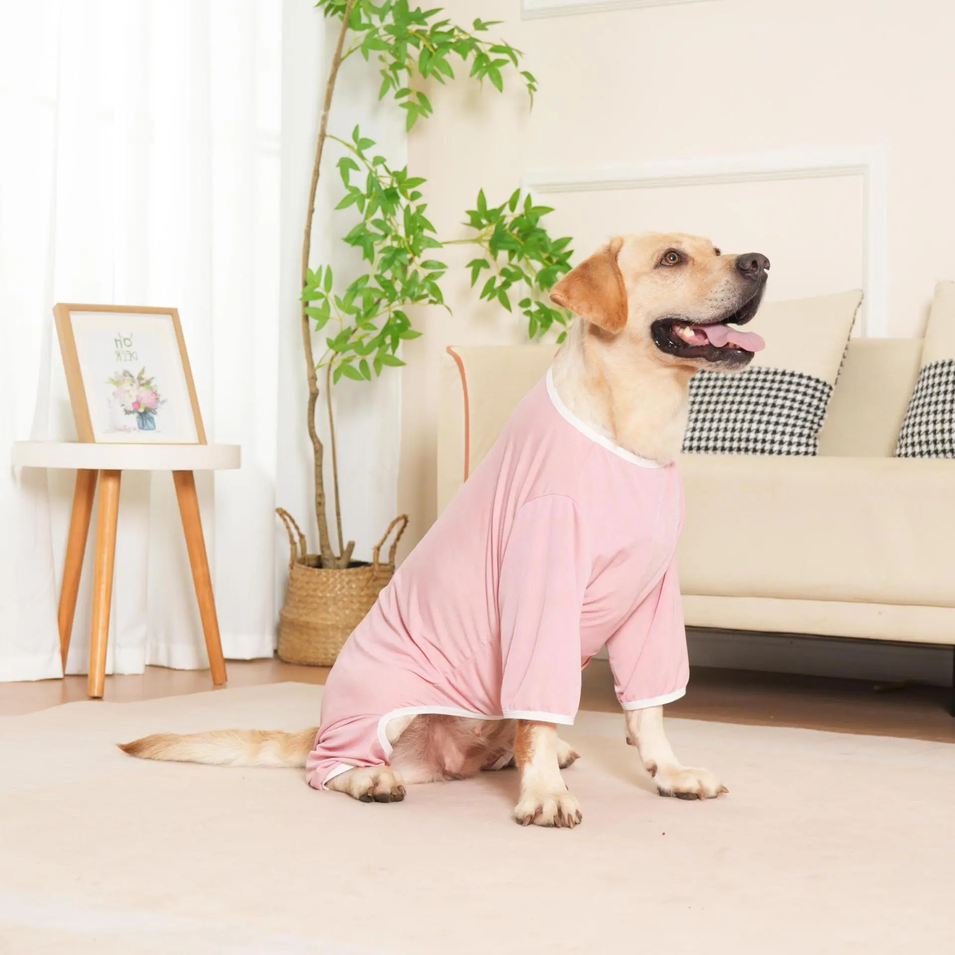 Ice Silk Cooling Dog Clothes | Breathable Dog Bodysuit