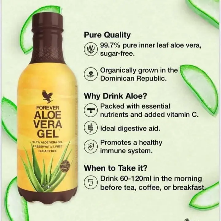 wie teuer ist eine aloe vera pflanze Aloe vera Duo | Sukkulenten main image 0