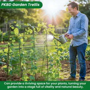Tall Garden Arch Trellis for Climbing Plants Outdoor, 4/5/7/7.5 ft Tall Polyethylene-Coated Stainless Steel Garden Arch for Climbing Vine Vegetable/Fruit/Flower, Cucumber Trellis for Raised Bed, Black Home Pumpkin