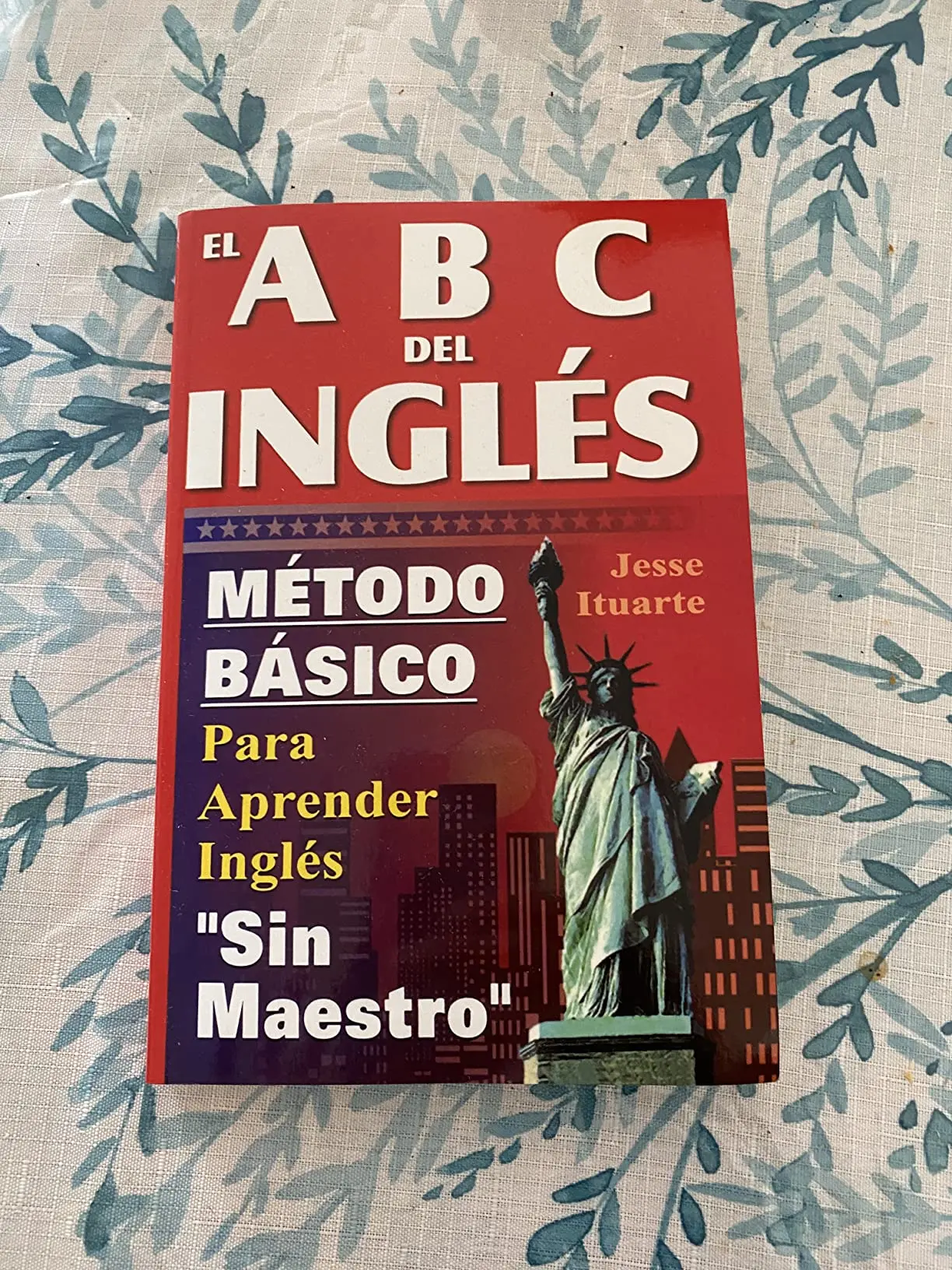 ABCs of English: Basic Self-Study Book, English-Spanish Edition (Language Learning Education Resource)