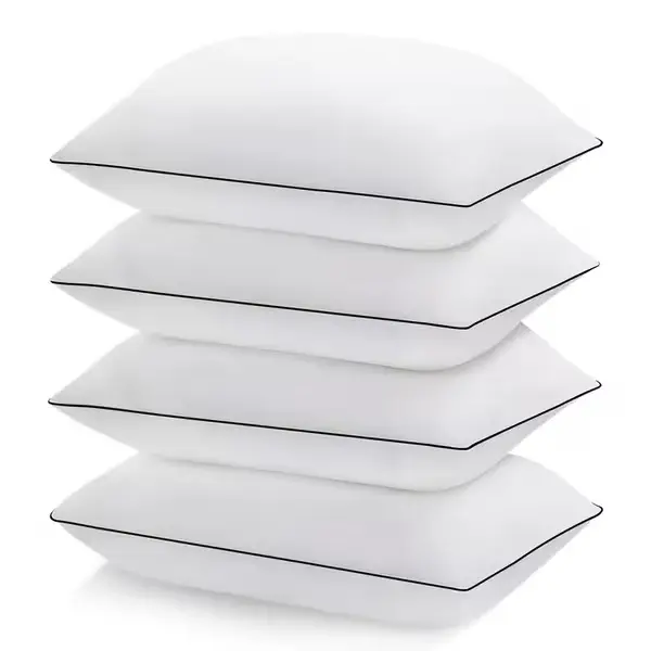 Queen Size Bed Pillows Set of 2/4, Cooling Hotel Quality Down Alternative Pillows, Soft Breathable Sleeping Pillows for Back, Side & Stomach Sleepers, 20x30in
