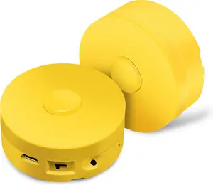 A 16-minute voice recorder that can record customized messages, suitable for crafts, plush bears, baby dolls, and pillows (2 pieces + yellow)