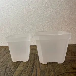 10 pieces 3” clear nursery pot