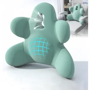 Lumbar Support Pillow for Office Chair Car Sofa - Improve Lower Back Pain Relief & Sitting Posture, Memory Foam Back Cushion for Long Sitting (Green)