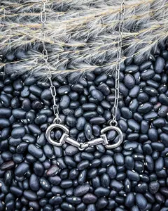 Latchline Snaffle Bit Chain & Link Costume Necklace, Fashion Accessory