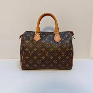 Pre-owned Louis Vuitton leather Luggage Speedy 25 Monogram Boston Bag