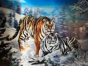 3D Motion Holographic Art Wall Poster For Room Wall Decor - Tiger & Lion