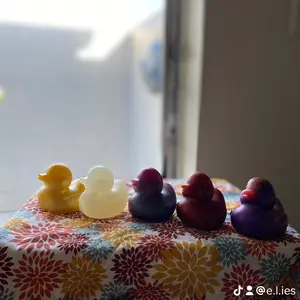 Resin ducks Handmade