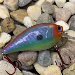 Mayhem Custom Painted 2.5 Square-Bill Shallow Diving Crankbait Rainbow Row
