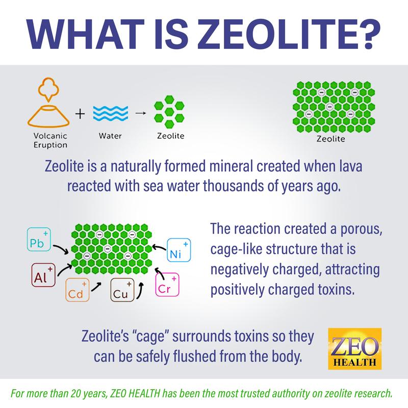 ZEO Health Zeolite Pure Capsules - Zeolite Detox Supplement - Supports Heavy Metal & Full Body Detox, Energy, Gut Health & Immunity - 94%+ Clinoptilolite Powder - Made in the USA - 90 Vegan Capsules Healthcare Fitness