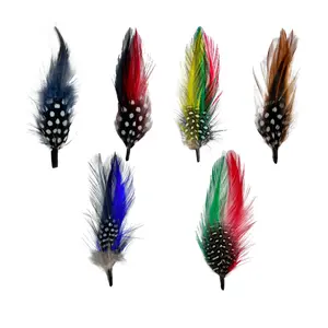 NEW Multicolor Feather 6 Pack & 1 Single Feather Pluma Classic Stetson Hat Accessory