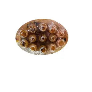 Coffee Soap, /Jabón de Café " Body Care Cleansing Skin Repair Skin Care Body Wash Cleanser Comfort