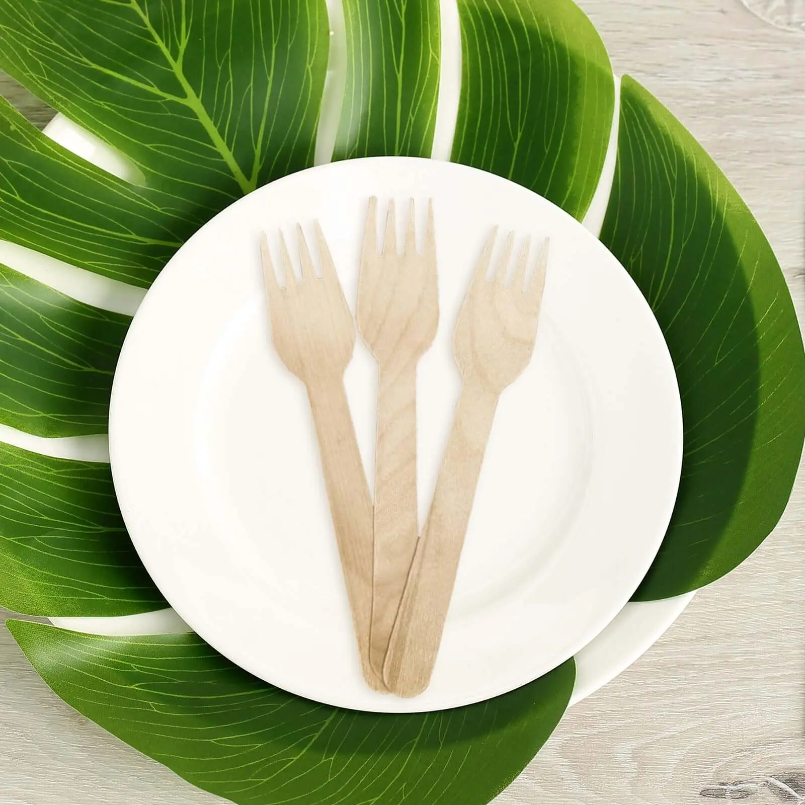 6-Inch Natural Wood Disposable Birchwood Forks, 100-Pack Eco-Friendly Wooden Cutlery with Rustic Look for Party, Rustic-Themed Events, Outdoor Occasions