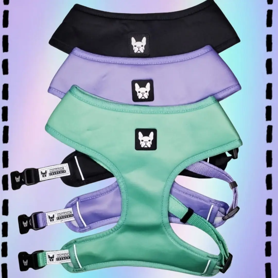 Nomadic Frenchie Harness - Please measure the neck before ordering size chart is in product photos